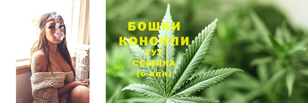 стаф Краснослободск