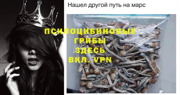 соль ск Кулебаки