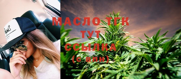 соль ск Кулебаки