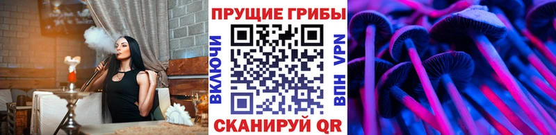 Купить  Певек  Псилоцибиновые грибы ЛСД 